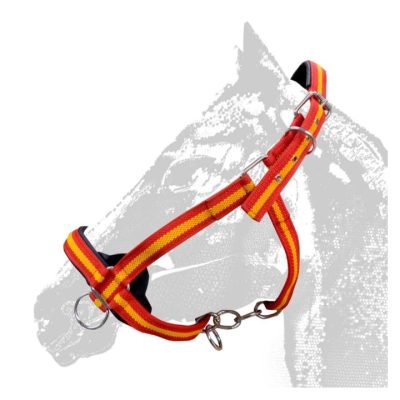 WhatsApp Image 2026-02-12 at 11.10.43 (2)