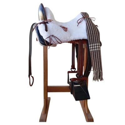 WhatsApp Image 2026-02-23 at 12.57.55