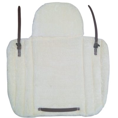 WhatsApp Image 2026-03-07 at 19.45.24