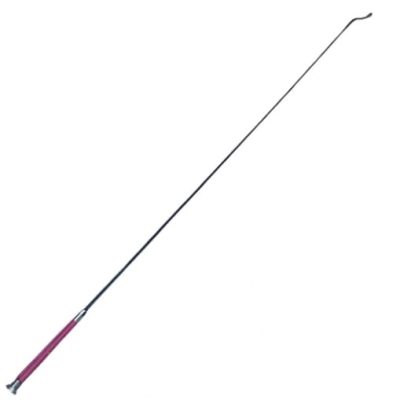 WhatsApp Image 2026-03-08 at 18.10.46