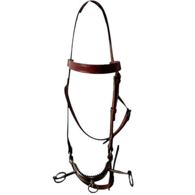 WhatsApp Image 2026-04-07 at 18.13.20